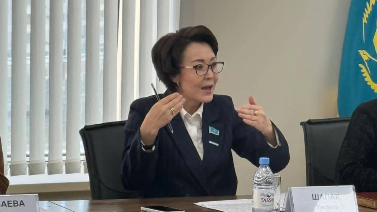 ПАРЛАМЕНТАРИЗМ ИНСТИТУТЫНДА ЖАҢА КОНСТИТУЦИЯ ЖОБАСЫ БОЙЫНША САРАПТАМАЛЫҚ ТАЛҚЫЛАУ ӨТТІ 