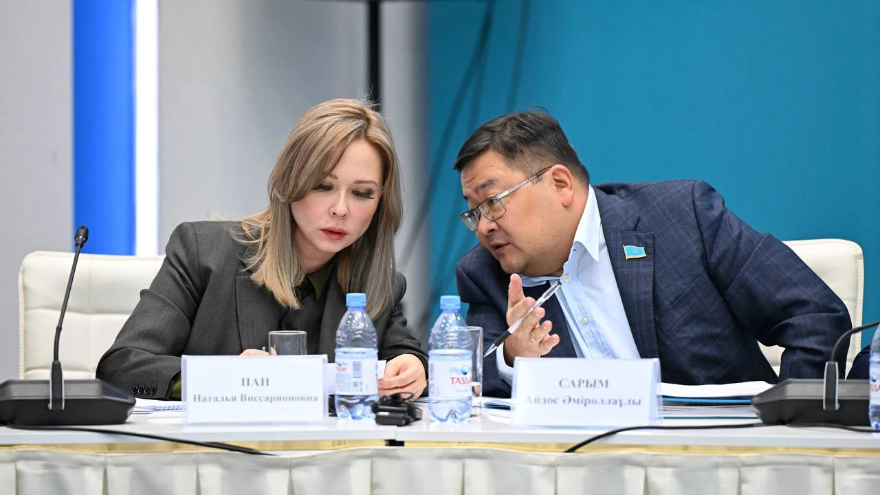 Наталья Пан выступила с докладом о будущем парламента на рабочей встрече в Астане 