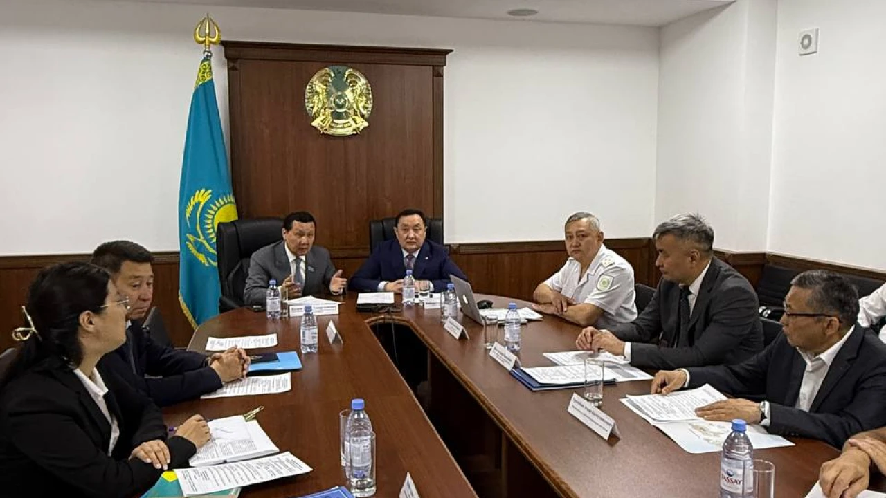 EXPERT MEETING ON THE IMPROVEMENT OF PENAL LEGISLATION HELD AT THE PENAL ENFORCEMENT COMMITTEE OF THE MINISTRY OF INTERNAL AFFAIRS OF THE REPUBLIC OF KAZAKHSTAN