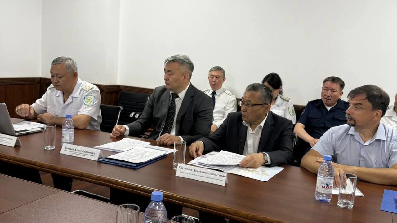 EXPERT MEETING ON THE IMPROVEMENT OF PENAL LEGISLATION HELD AT THE PENAL ENFORCEMENT COMMITTEE OF THE MINISTRY OF INTERNAL AFFAIRS OF THE REPUBLIC OF KAZAKHSTAN