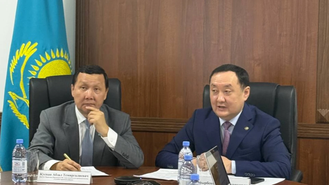 EXPERT MEETING ON THE IMPROVEMENT OF PENAL LEGISLATION HELD AT THE PENAL ENFORCEMENT COMMITTEE OF THE MINISTRY OF INTERNAL AFFAIRS OF THE REPUBLIC OF KAZAKHSTAN