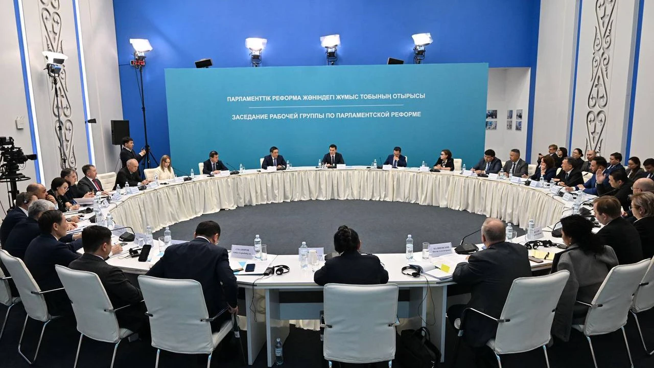 At the Working Group meeting, Natalia Pan presented citizens’ proposals on Parliamentary reform 