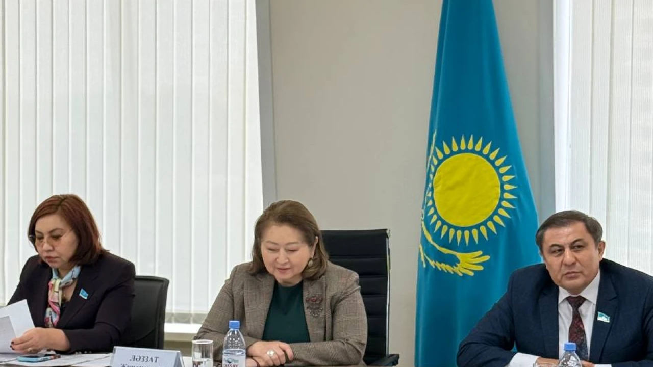 The Institute of Parliamentarism discussed the use of the state language in lawmaking 