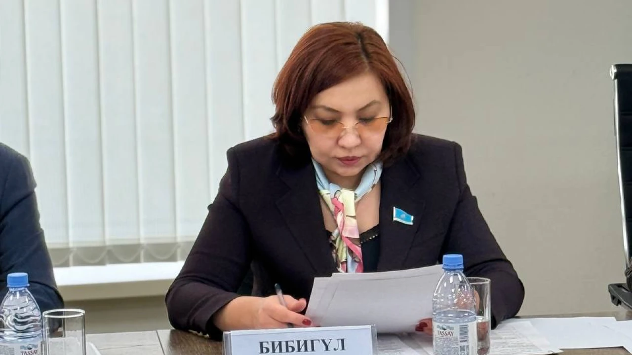 The Institute of Parliamentarism discussed the use of the state language in lawmaking 