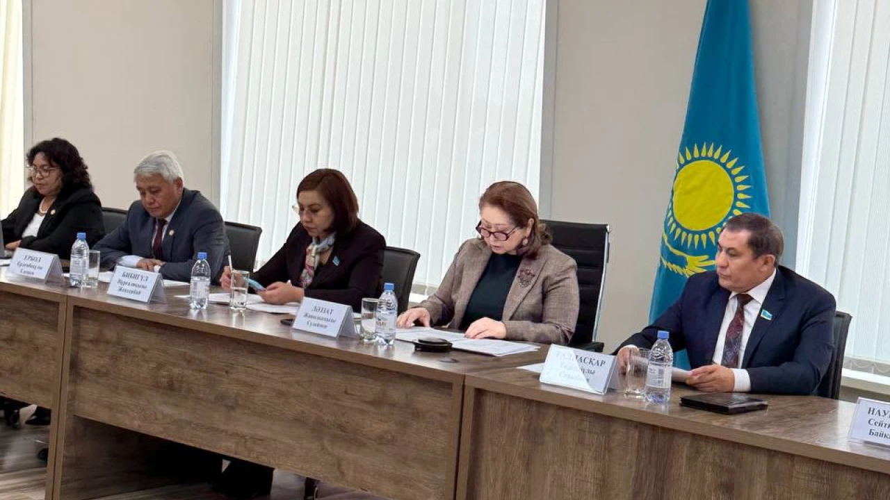 The Institute of Parliamentarism discussed the use of the state language in lawmaking 