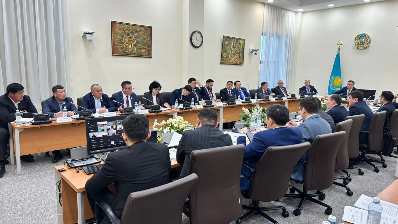 The Mazhilis discussed issues of agricultural sector financing and farmer lending 